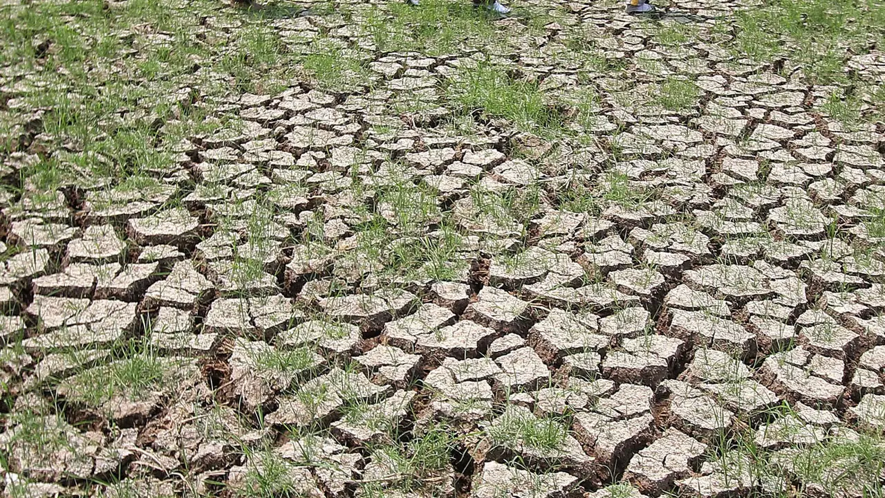 Badan Meteorologi, Klimatologi dan Geofisika (BMKG) Stasiun Klimatologi Pulau Baai, Bengkulu mengimbau warga setempat untuk waspada terhadap kondisi perubahan cuaca di wilayah tersebut akibat dampak El Nino.