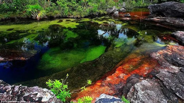 Menakjubkan! Ada Sungai Pelangi di Kolombia