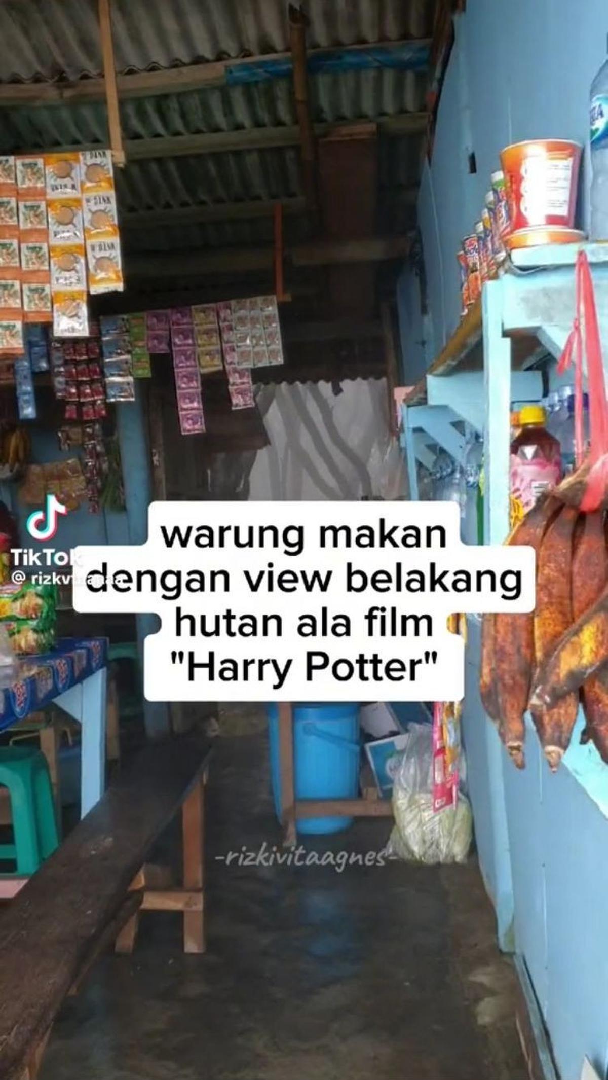 "Warung makan dengan view belakang hutan ala film Harry Potter," tulis pemilik akun TikTok di awal video.