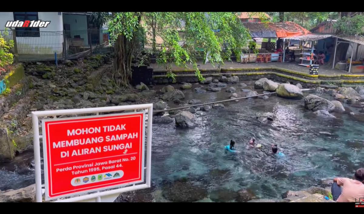Banyak Pepohonan