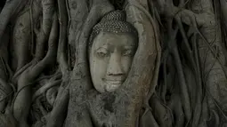 Wajah patung Buddha terlihat di antara akar pohon di kuil Wat Mahathat, Ayutthaya, Thailand Ayutthaya (25/12/2015). Patung kepala Buddha ini telah ada sejak Kerajaan Ayutthaya runtuh akhir abad ke-18. (REUTERS/Jorge Silva)