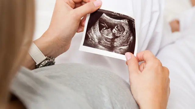 (c) shutterstock.com