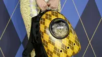 Kucing peliharaan Claudia Schiffer, Chip, dibawa menggunakan tas punggung. (Foto: Instagram Argylle Movie)