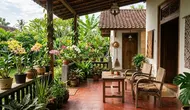 8 Model Teras Rumah Nyaman untuk Bersantai dan Berkebun, Hadirkan Nuansa Asri