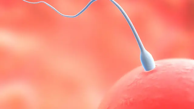 Sperma (Istimewa)