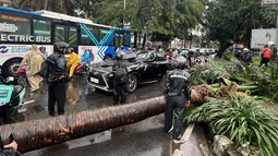 Mobil mewah bermerek Lexus rusak parah tertimpa pohon palem berukuran besar yang roboh saat hujan deras mengguyur kawasan Jalan Metro Pondok Indah, Jakarta, Minggu (26/10/2025). (merdeka.com/Arie Basuki)