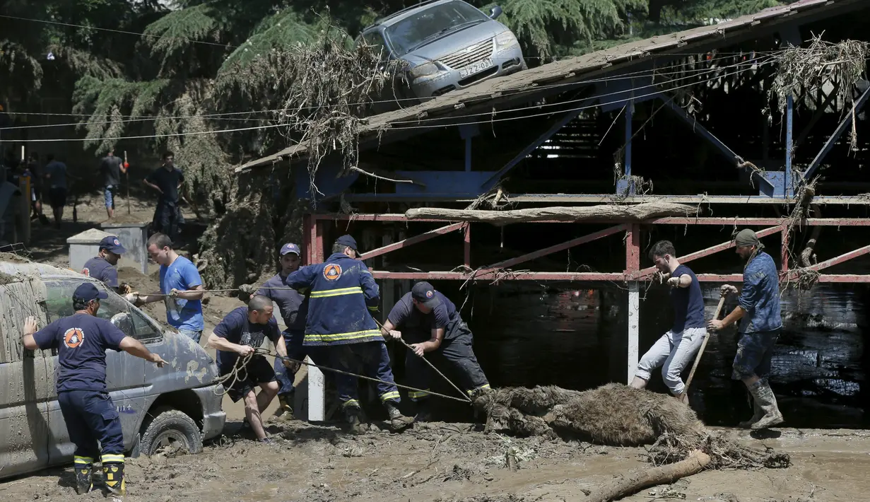 Petugas mengevakuasi beruang mati yang hanyut diterjang banjir bandang di kebun binatang Tbilisi, Georgia, Amerika Serikat (AS), Senin (15/6/2015). (REUTERS/David Mdzinarishvili)