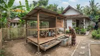 7 Model Kandang Entok yang Mudah Dibersihkan, Anti Bau dan Tidak Ganggu Tetangga