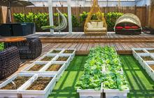 Cara Membuat Rooftop Garden yang Hemat Air dan Ramah Lingkungan, Bikin Rumah Lebih Adem dan Estetik