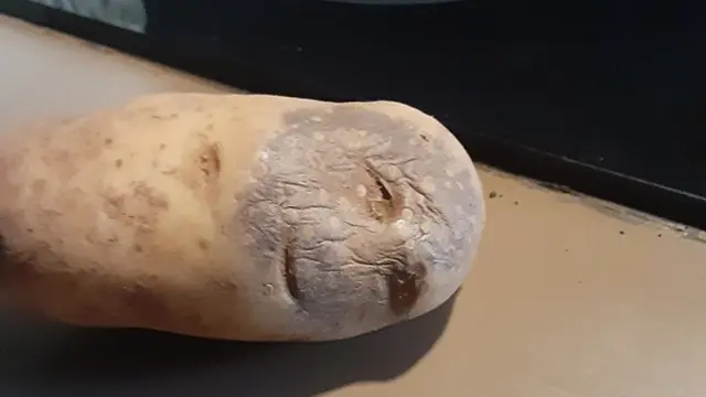 7 Hasil Foto Makanan Ini Bikin Terkecoh, Bak Ilusi Optik