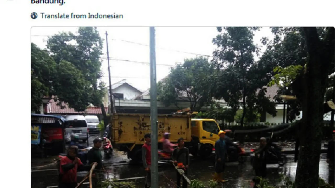 Pohon tumbang