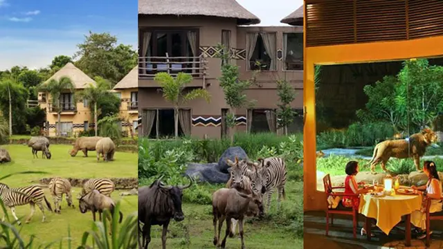 Foto: copyright bali.mehthesheep.com