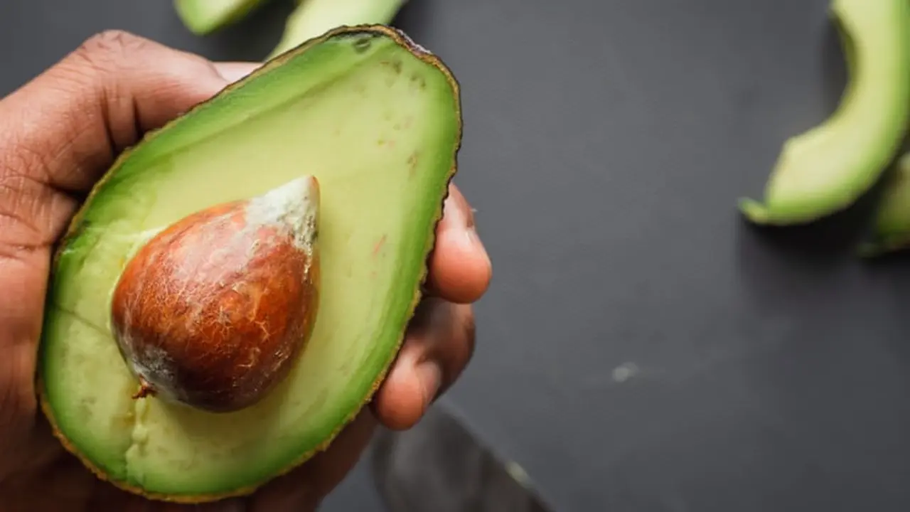 Buah Alpukat