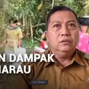 Kekeringan Dampak Musim Kemarau