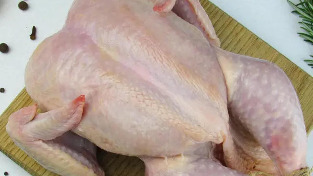 Tata Cara Menyembelih Ayam Sesuai Syariat Islam, Ketahui Syarat dan Rukunnya