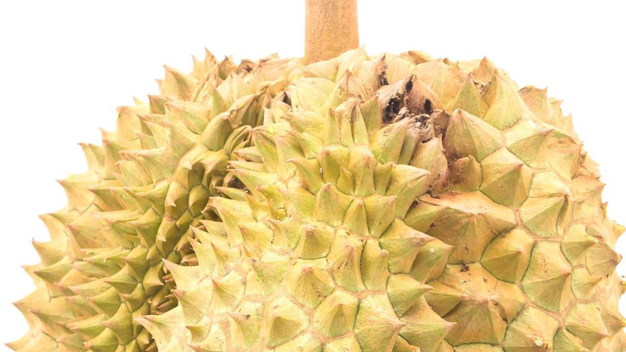 Potret Unik Durian Kembang Senduro Lumajang, Ada Bunga di Tengah Daging Buah