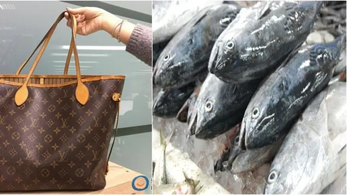 copyright by worldofbuzz.com