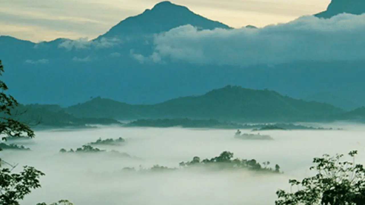 Gunung Bawang