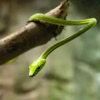 Ilustrasi/Copyright unsplash/rigel