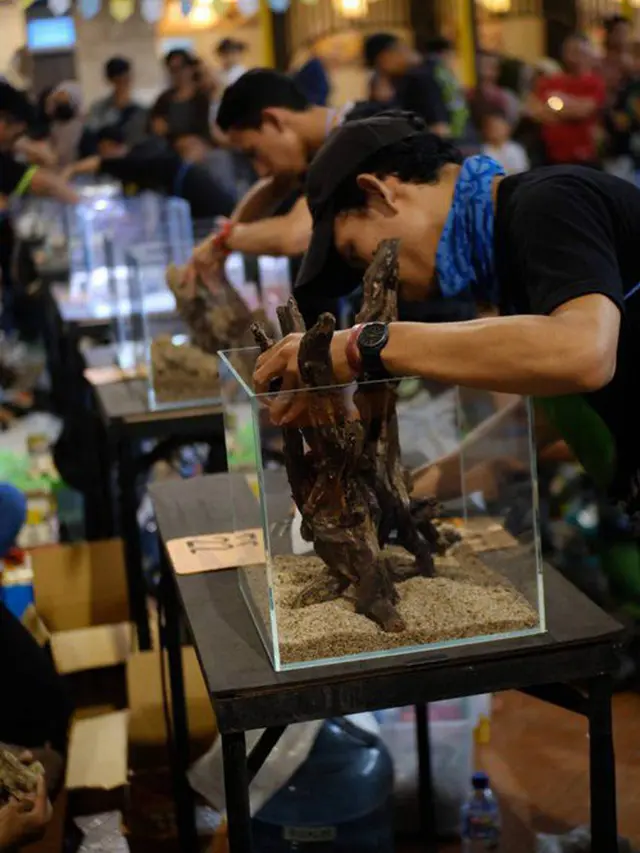 Aquafest 2019