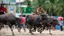 Para joki memacu kerbaunya dalam perlombaan balap kerbau tahunan di Chonburi, Thailand, Selasa (23/10). Lomba ini menandai berakhirnya musim hujan dan awal panen padi dalam tradisi yang berumur lebih dari satu abad. (Jewel SAMAD/AFP)