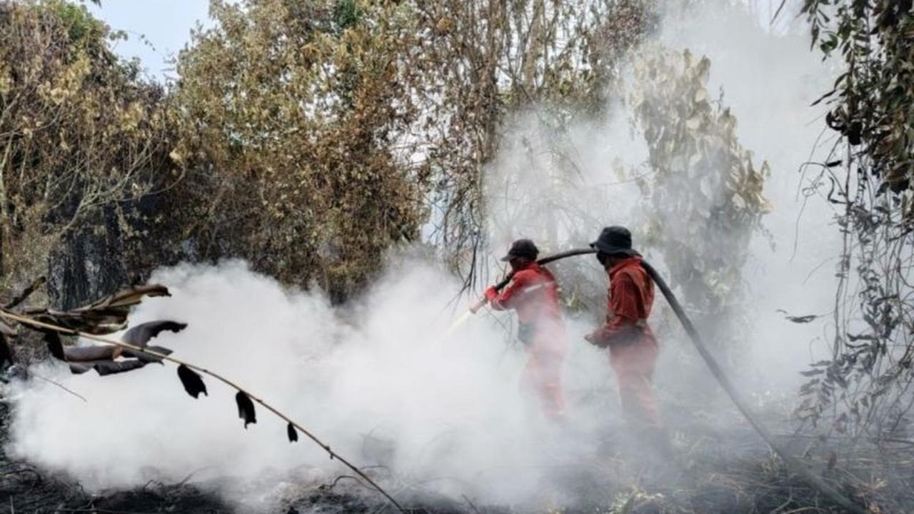 Tim Gabungan Berjibaku Padamkan Karhutla Kampar 15 Hektare, Terkendala Lahan Gambut