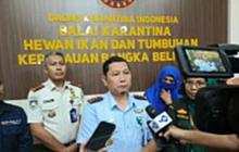 Pencegahan Virus Nipah: BKK Pangkalpinang Perketat Pengawasan di Pintu Masuk Wilayah