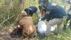 Misteri Kerangka Manusia di Kebun Jati Sukabumi Akhirnya Terungkap