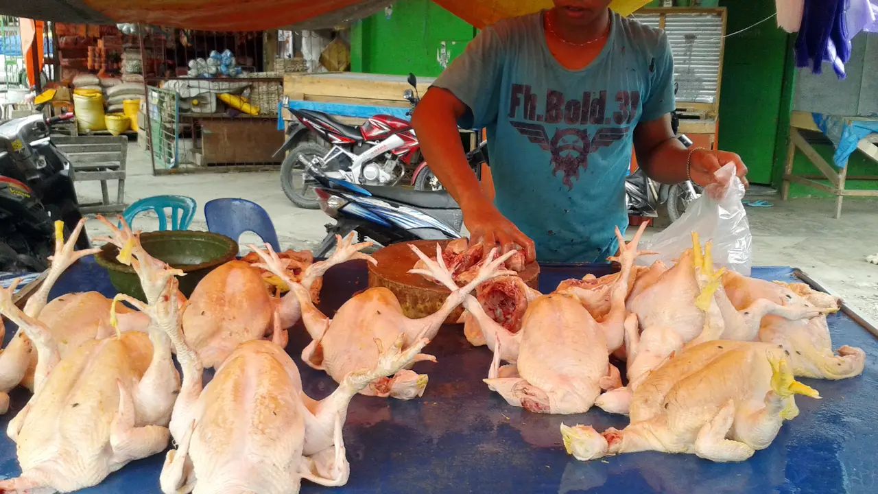 Harga Ayam Potong di Palu Tembus Rp 55 Ribu per Ekor