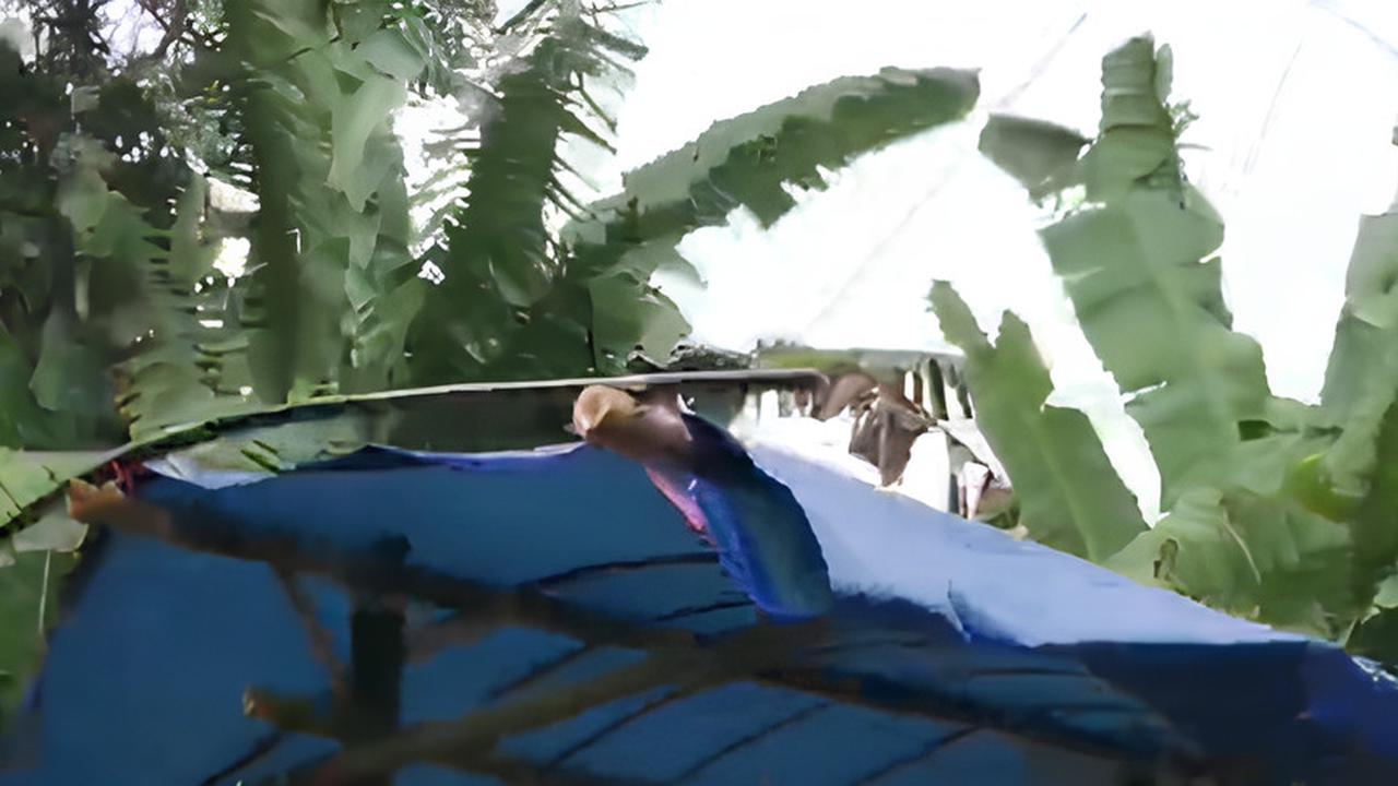 Lokasi Ini Jadi Surganya Durian di Serang, Penjualnya Ada di Sepanjang Jalan Kampung