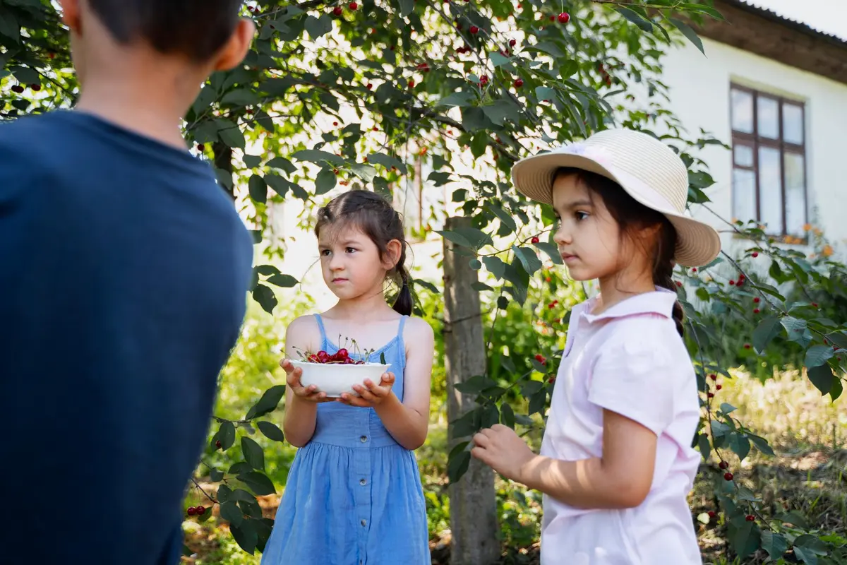6 Tips Seru Menghabiskan Waktu Bersama Anak Saat Liburan di Rumah dengan Berkebun