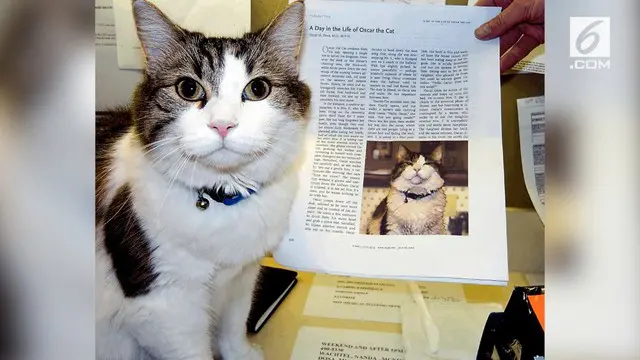 Kucing ajaib ini bernama Oscar. Sudah ratusan kematian orang diprediksi olehkucing lucu ini.