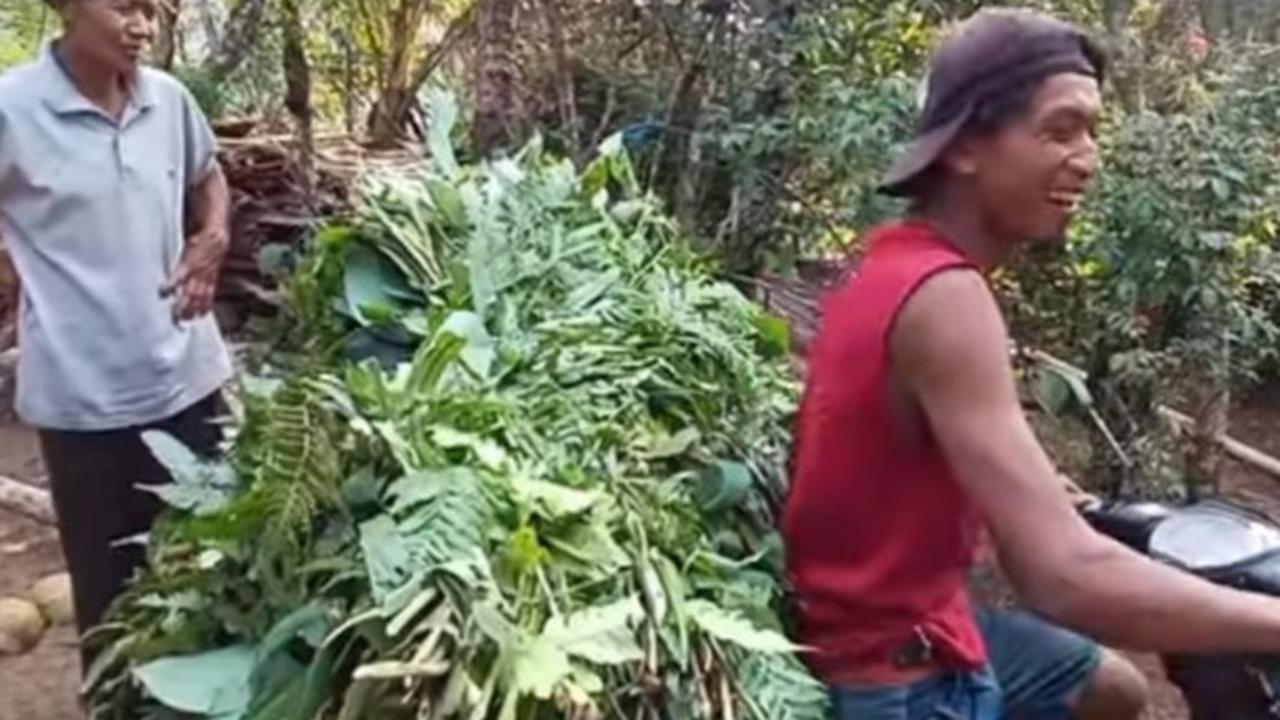 Pria Banjarnegara ini nekat tinggal di tengah hutan