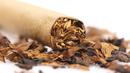 Perokok terkadang mempunyai bau badan yang sangat tidak enak. Sebab ketika asap rokok bercampur dengan kelenjar keringat lain di dalam tubuh maka dapat membuat bau badan. (Istimewa)