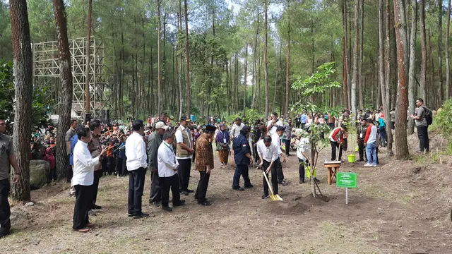 Presiden Joko Widodo atau Jokowi menanam pohon di Gunung Merapi, Jumat (14/2/2020).