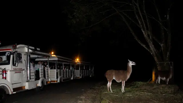 Taman Safari