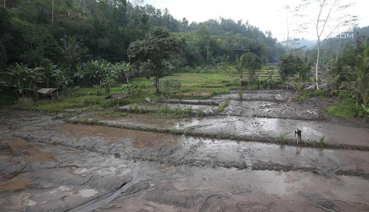 Pemandangan lahar dingin disertai lumpur pekat menutupi sawah di sekitar Sungai Yeh Sah di desa Rendang, Karangasem, Bali, Rabu (6/12). Lahar dingin tersebut keluar dari sepanjang hulu Gunung Agung. (Liputan6.com/Immanuel Antonius)