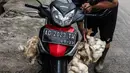 Pekerja bersiap mengantarkan ayam potong yang dipesan pembeli di tempat pemotongan saat pandemi COVID-19 di kawasan Kebayoran Lama, Jakarta, Jumat (29/1/2021). Saat ini harga ayam ras di tingkat konsumen berkisar Rp 27.000 per kilogram. (Liputan6.com/Johan Tallo)