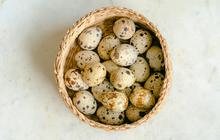 Kecil Tapi Kaya Manfaat, 10 Alasan Mengapa Anda Harus Mengonsumsi Telur Puyuh!