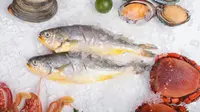 Cara Mencairkan Makanan Beku dalam 5 Menit, Simak Tipsnya Berikut Ini