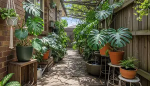 7 Inspirasi Kebun Monstera untuk Lorong Samping Rumah yang Sejuk dan Estetik