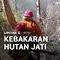 Musim Kemarau, Hutan Jati Terbakar
