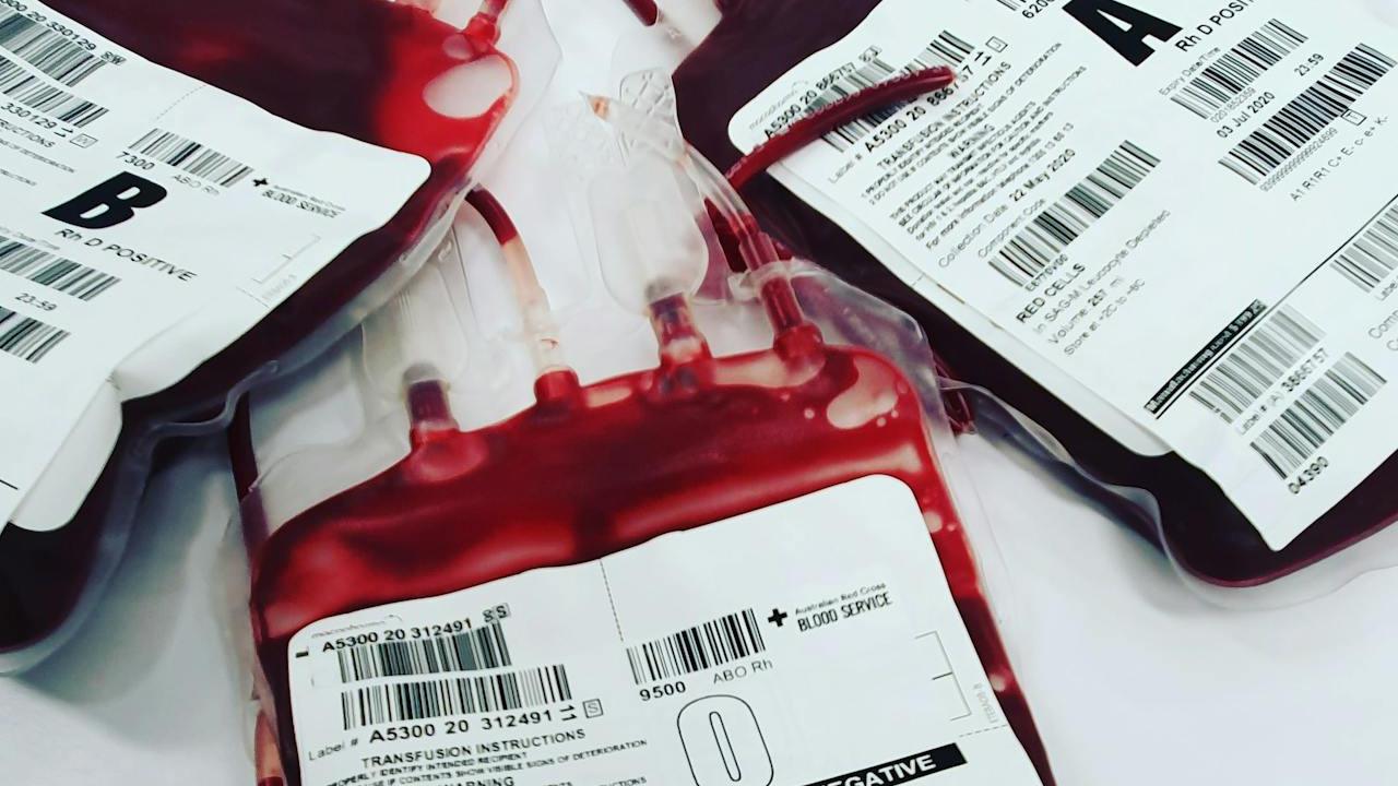 Ilustrasi Donor Darah