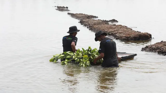 Selamatkan Lahan Kritis Akibat Abrasi, BRI Salurkan Ribuan Bibit Mangrove untuk Kelompok Tani di Muaragembong