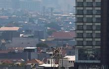 Pencemaran Udara Jadi Penyebab Kematian ke-4 Terbesar di Dunia, Apa Solusinya?