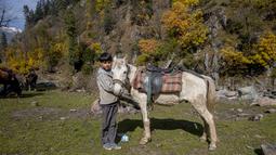 Seorang anak laki-laki Kashmir berpose dengan kudanya yang digunakan untuk perjalanan wisata di Naranag, utara Srinagar, Kashmir yang dikuasai India (31/10/2021). Tempat ini merupakan base camp untuk trekking ke Gunung Haramukh 16.870 kaki (5.142 meter) dan Danau Gangabal. (AP Photo/Dar Yasin)