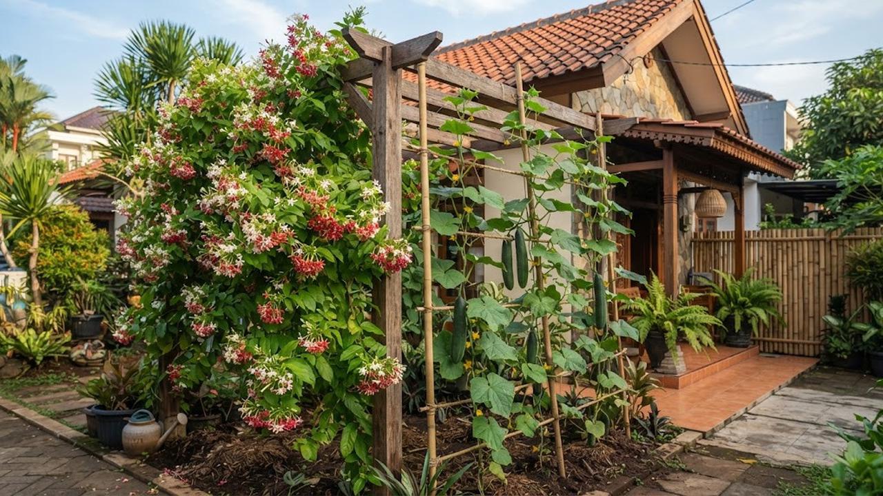 Kombinasi Tanaman Hias dan Tanaman Pangan untuk Halaman Rumah