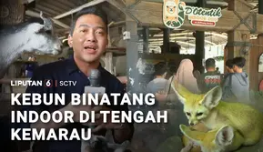 Kebun Binatang Indoor di Tengah Kemarau