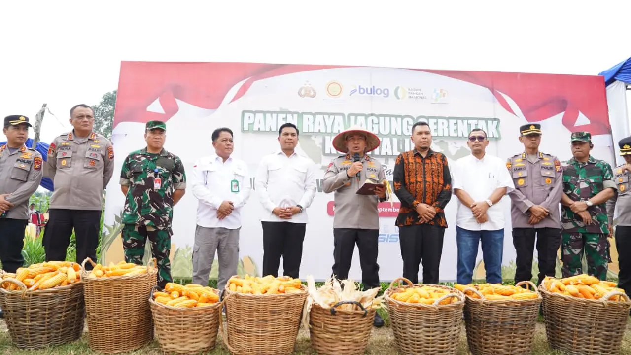 Kapolda Riau Irjen Herry Heryawan saat Panen Raya Jagung Serentak Kuartal III Tahun 2025 di Komplek Balai Benih Induk (BBI) Hortikultura, Jalan Kaharuddin Nasution, Kelurahan Air Dingin, Kecamatan Bukit Raya, Kota Pekanbaru, Sabtu (27/9/2025) (Istimewa)