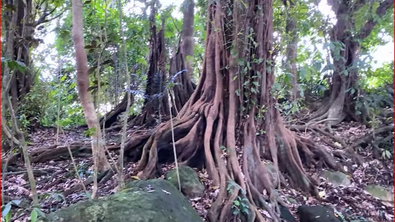 Menguak Fakta "Tuk Budoyo", Mata Air Keramat di Lereng Gunung Sumbing